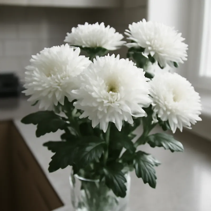 Aster – biały – zdjęcie 3