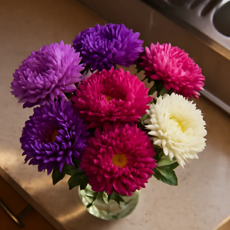 Aster chiński – klasyczny – zdjęcie 3