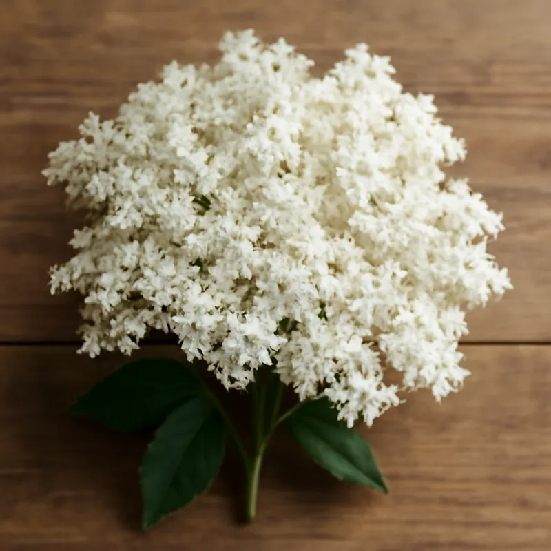 Bez czarny – biały – zdjęcie 3