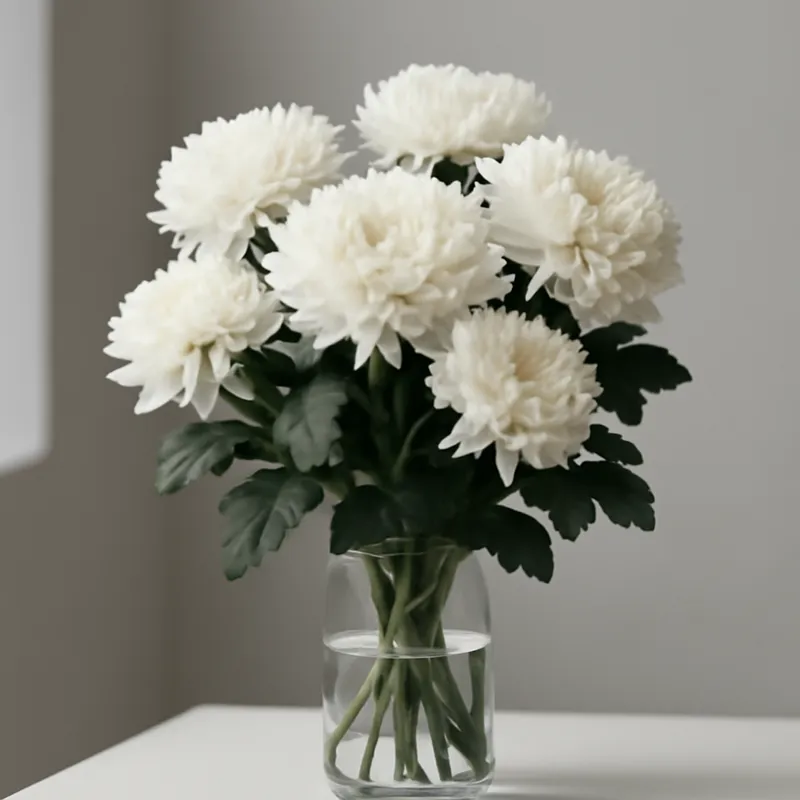 Chryzantema – klasyczna – zdjęcie 3