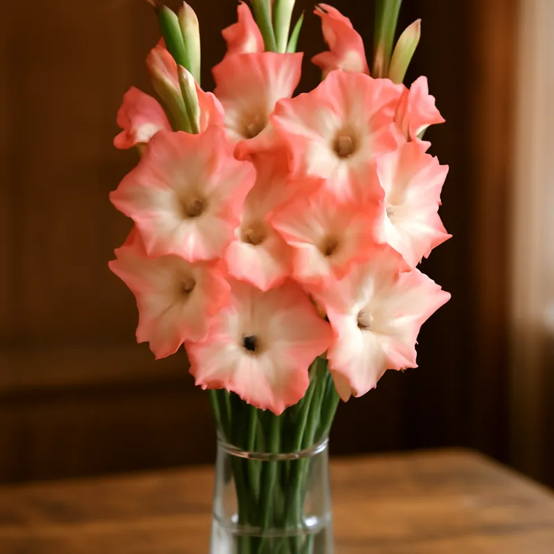 Mieczyk – klasyczny – zdjęcie 3