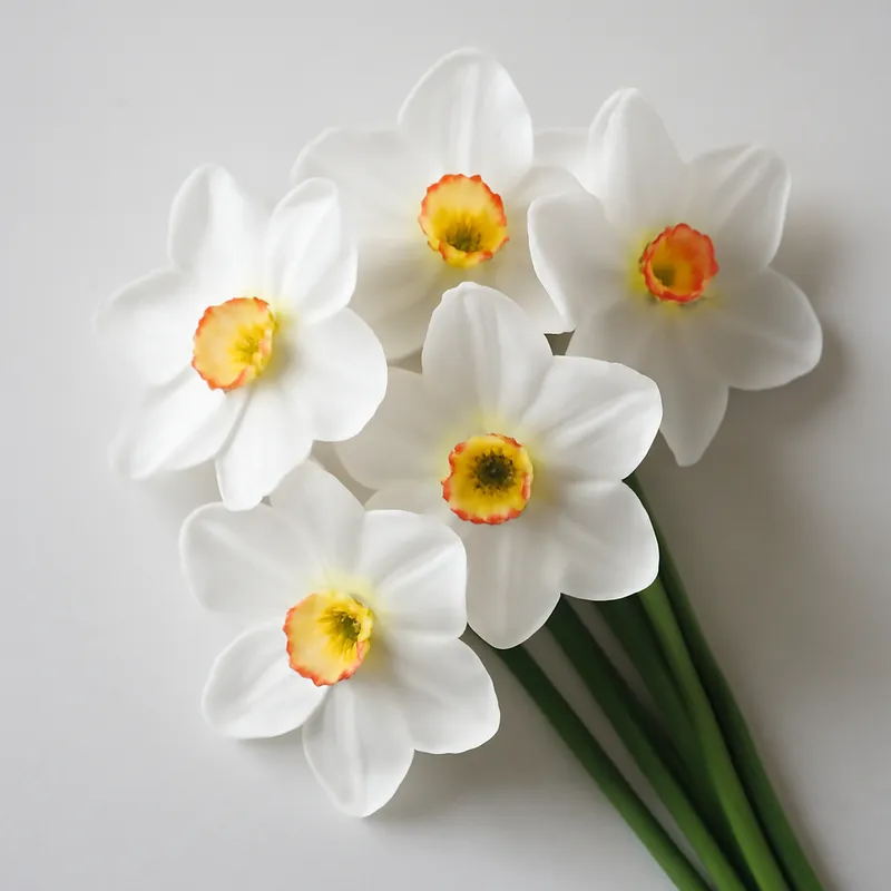 Narcyz – biały – zdjęcie 3