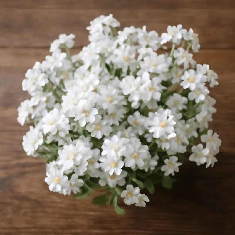 Niezapominajka – biała – zdjęcie 3