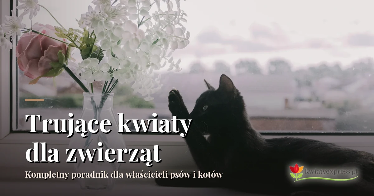 Trujące kwiaty dla zwierząt