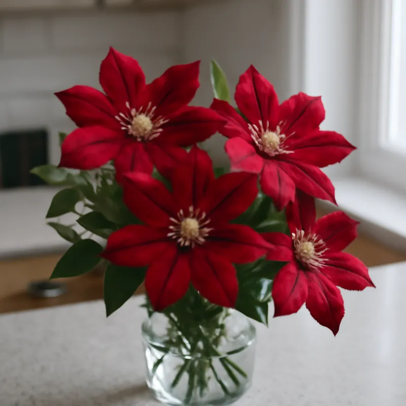 Powojnik – czerwony – zdjęcie 3