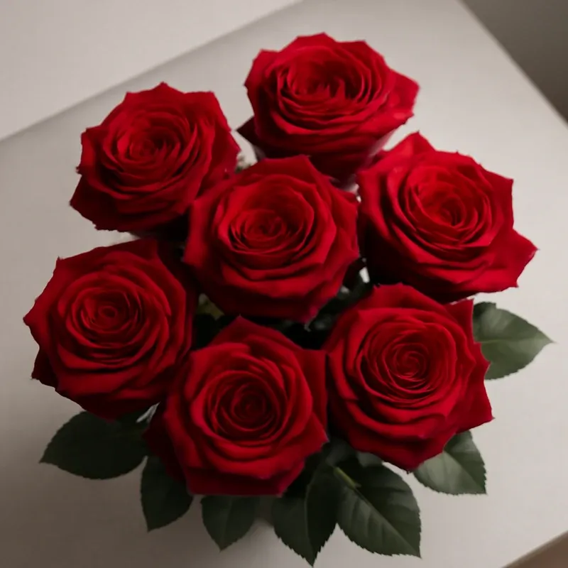 Róża – czerwona – zdjęcie 3