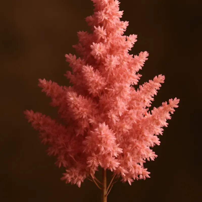 Tawułka – klasyczna – zdjęcie 2